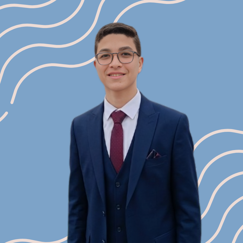 محمد أحمد جميل